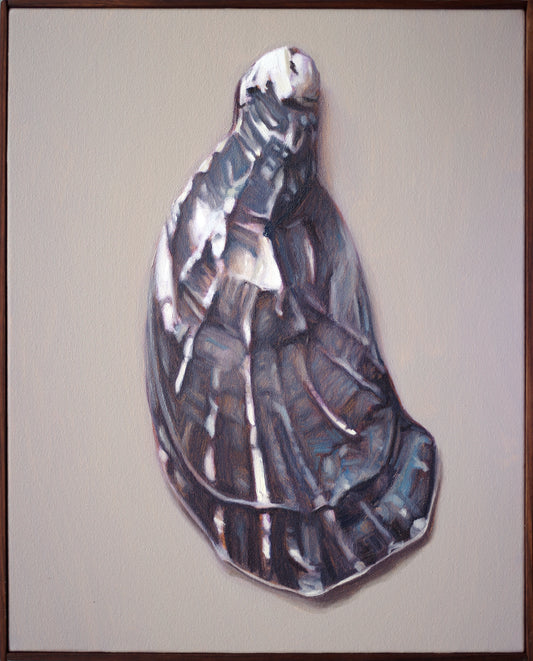 Shell Still Life Painting - Oil on canvas | Shell no. 45