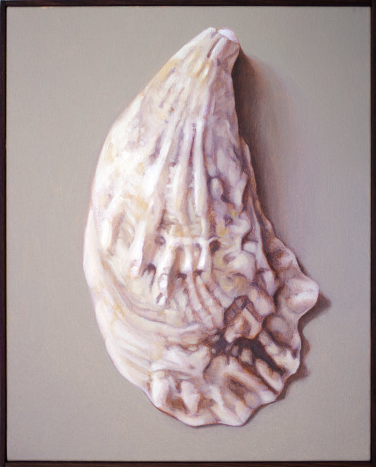 Shell Still Life Painting - Oil on canvas | Shell no. 52