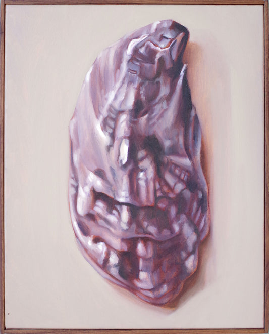 Shell Still Life Painting - Oil on canvas | Shell no. 59