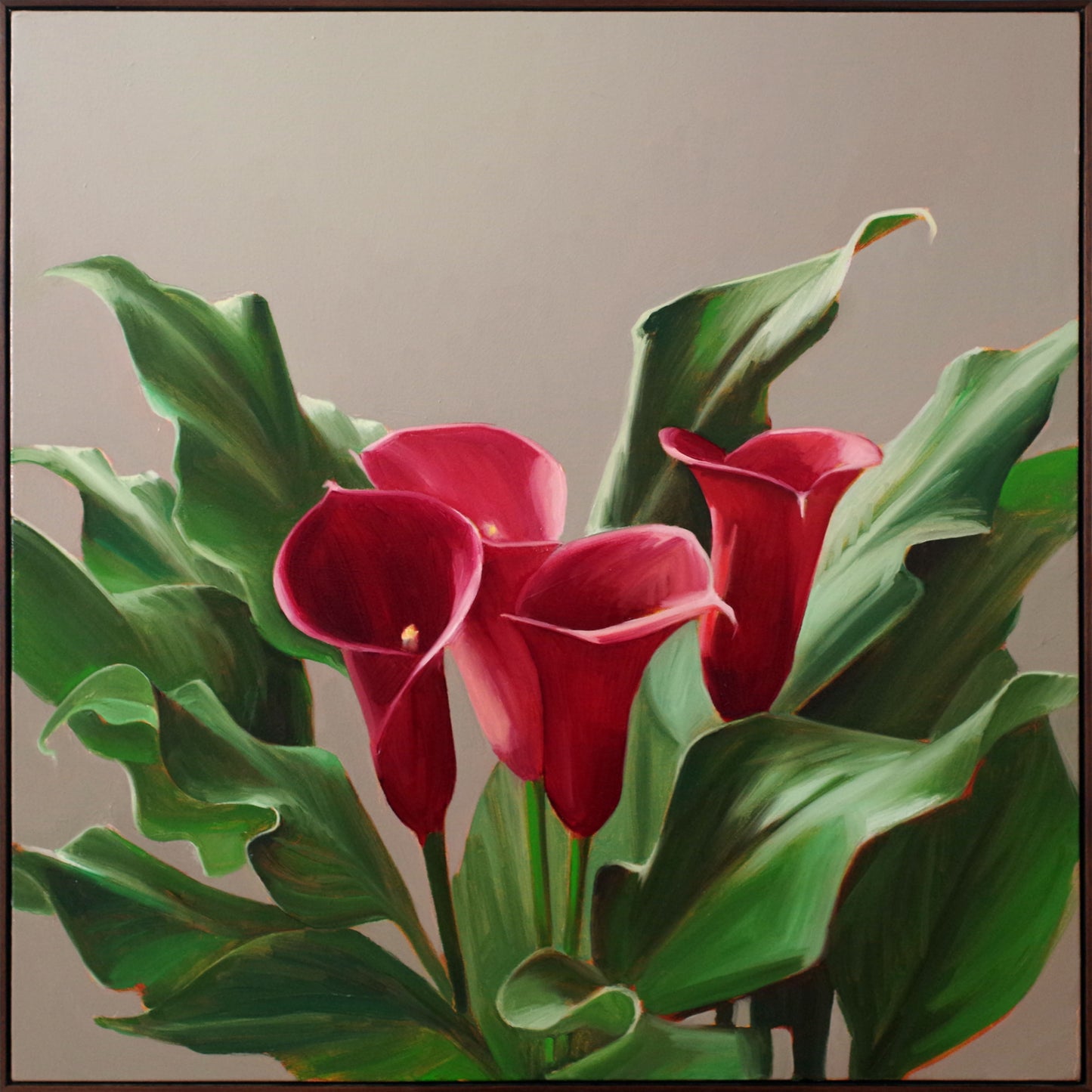 Floral Still Life Painting 40x40 Oil on Canvas | Exuberant Calla Lilies