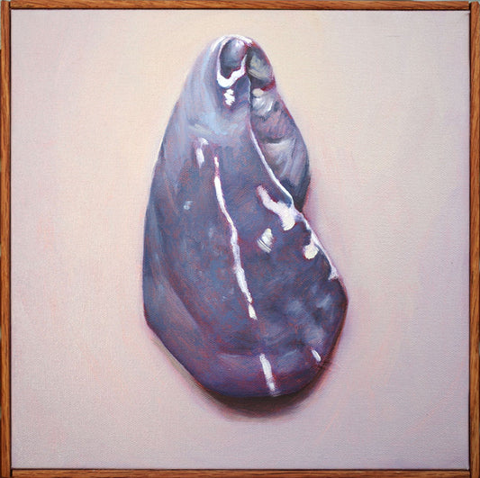 Shell Painting - Oil on canvas | Shell no. 26