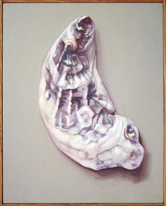 Shell Still Life Painting - Oil on canvas | Shell no. 29