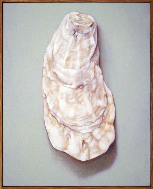 Shell Still Life Painting - Oil on canvas | Shell no. 33