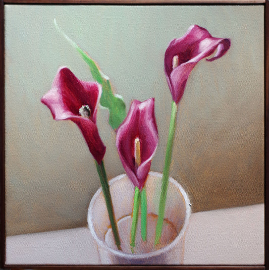 Still Life Painting 12x12 Oil on Canvas | Three Calla Lilies
